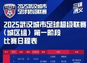 开云平台-关于超级联赛球队的战绩总结报道的信息