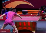 开云官网-比利时乒乓球队爆冷奥地利乒乓球队，张本智和制霸全场的简单介绍