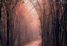 开云体育入口-关于爱沙尼亚球员在国际友谊赛中展现技术的信息