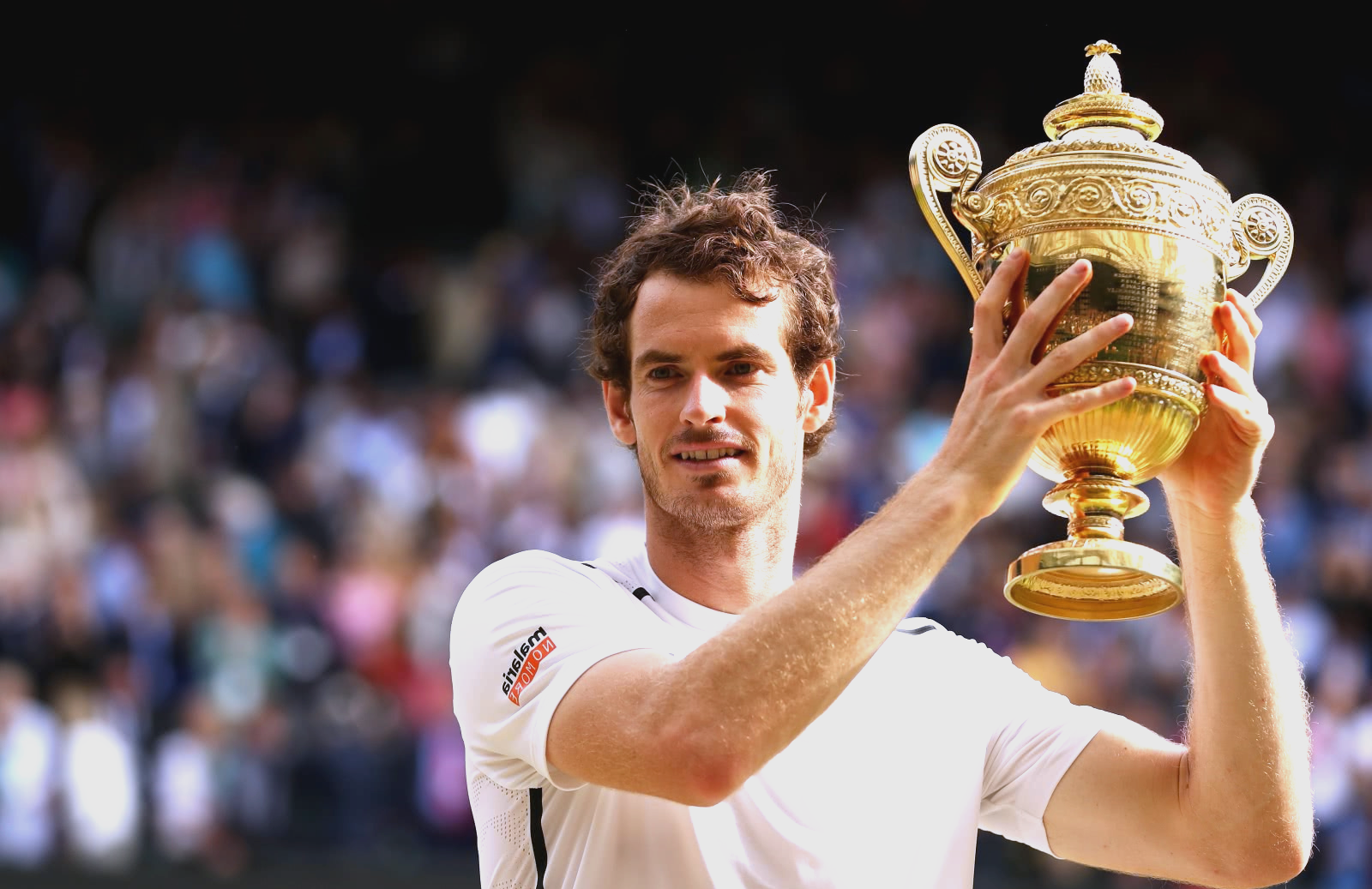 关于美国网球队碾压英国网球队,穆雷制霸全场的信息 关于美国网球队碾压英国网球队,穆雷制霸全场的信息