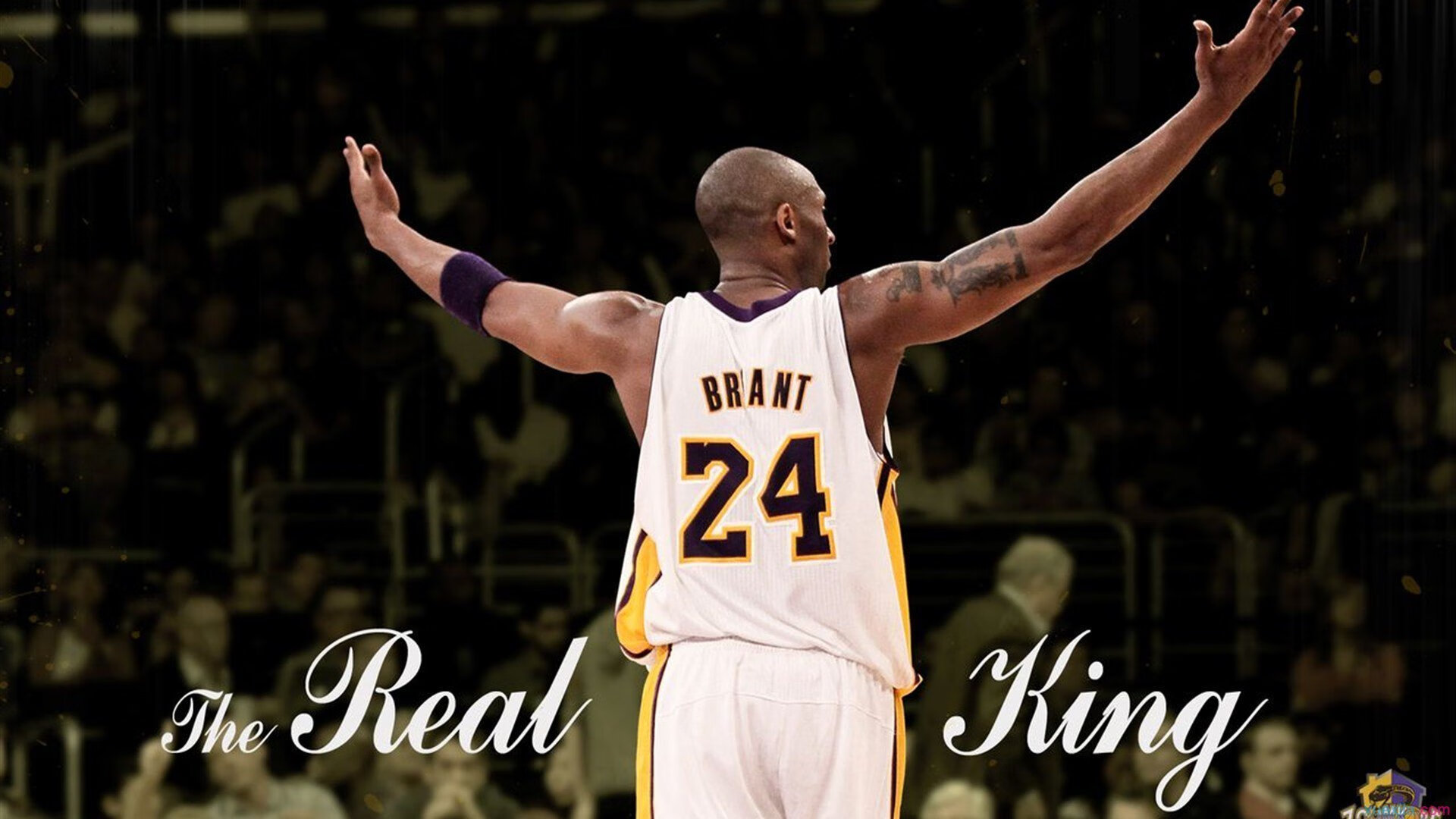 当维京人遇见武士，巴尔韦德如何在西决生死战中，以日本式的团队精神带走瑞典