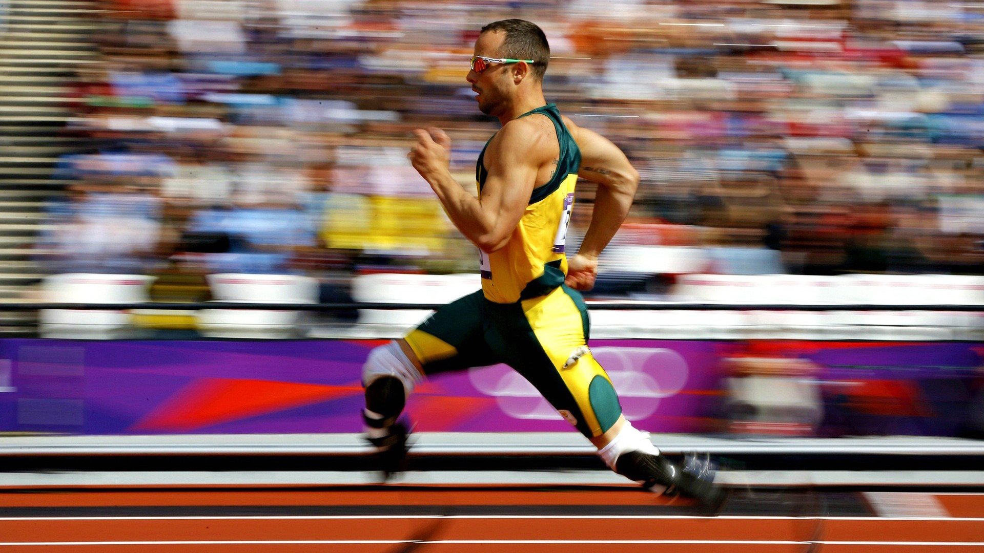 双线奏凯，葡萄牙足球轻取波兰，许昕刷新乒坛纪录